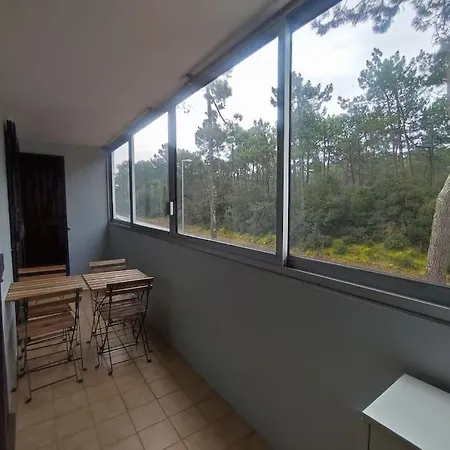 Apartment 4 P Au Calme Vue Foret